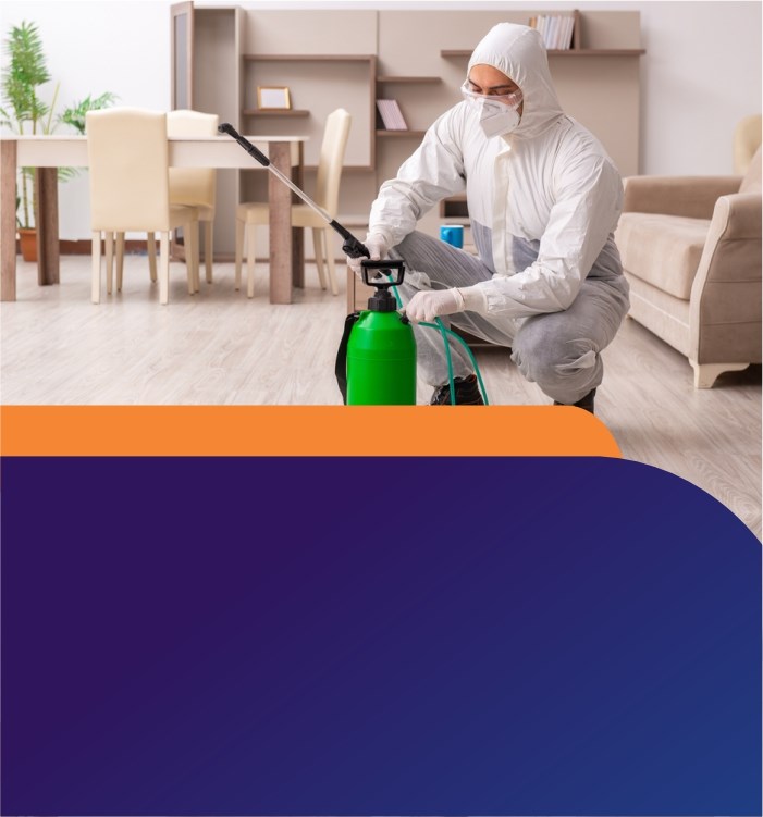 Pest Control Service - Bixol